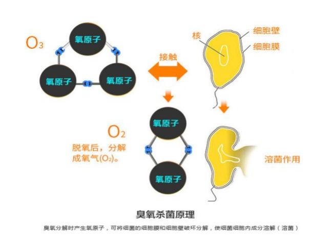 麻将胡了2(中国)官方网站-IOS/安卓通用版/手机APP下载